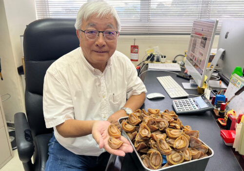 uncle-luk-abalone
